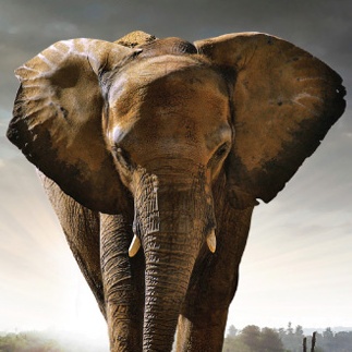 Metaphor-driven advertising concept using visual symbolism and narrative copy to communicate brand strength